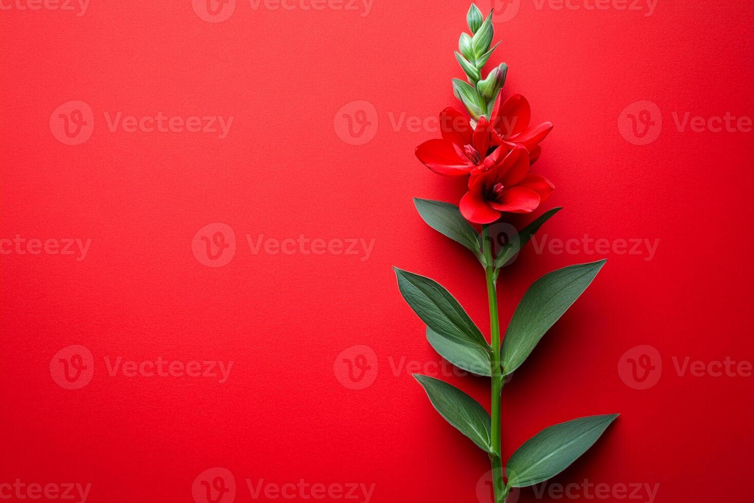 Top view photorealistic Cardinal Flower, flower set on a vibrant background photo