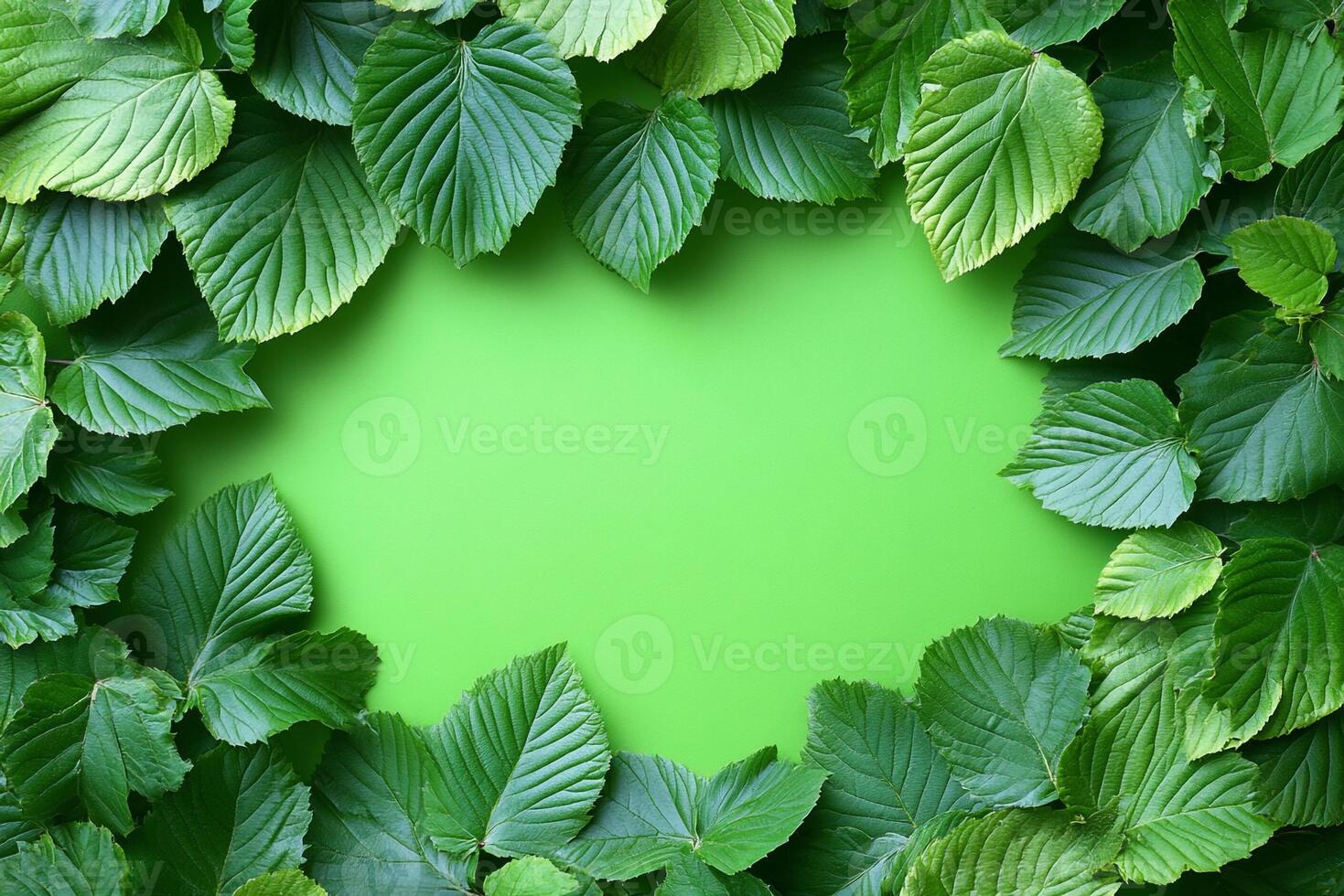 Top view photorealistic Carpinus, plant set on a vibrant background photo