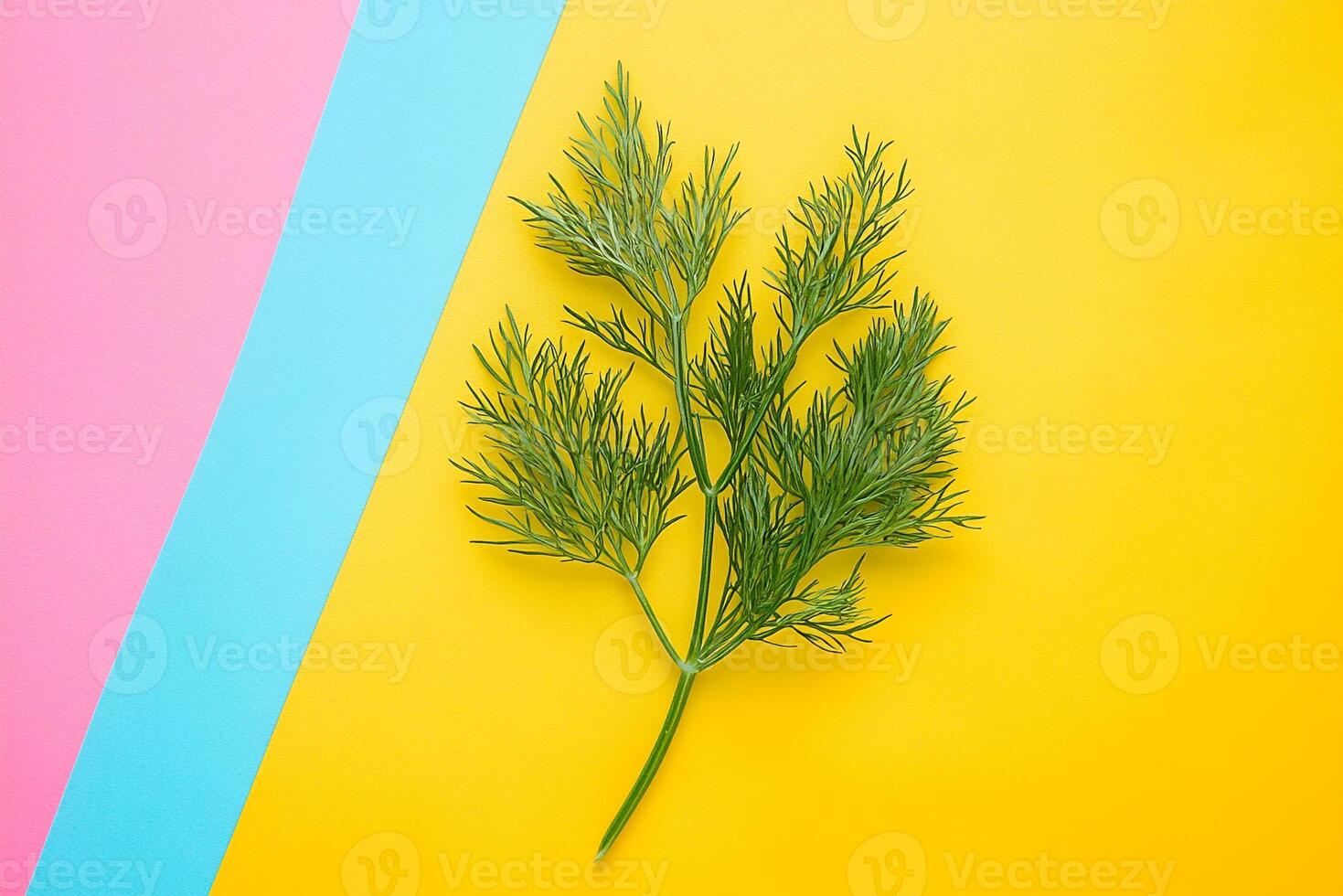 Dill on a vibrant background, top view photorealistic plant photo