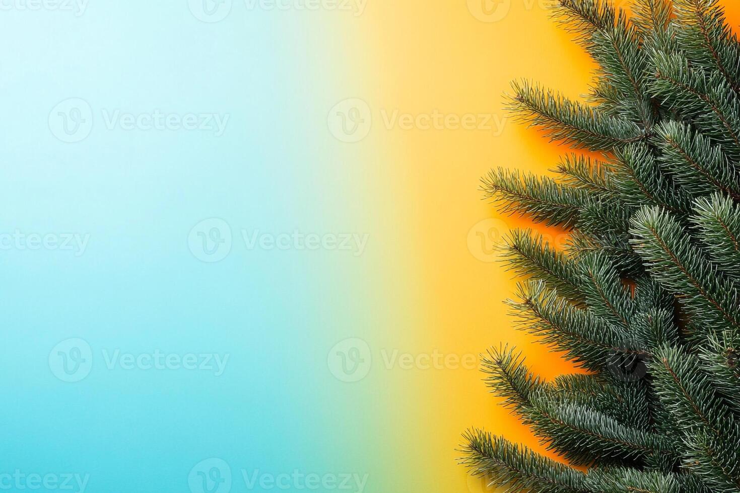 Top view Douglas Fir on a vibrant background, plant setting photo