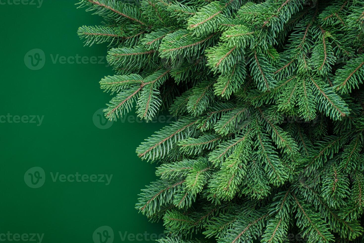 Douglas Fir on a vibrant background, top view photorealistic plant photo