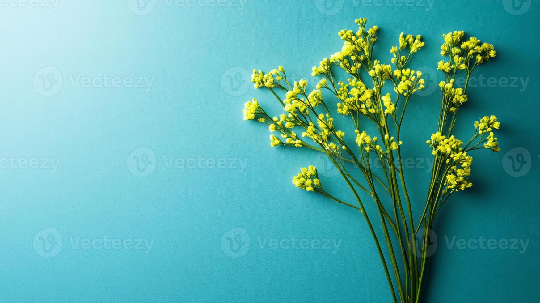 Top view Draba on a vibrant background, flower setting photo