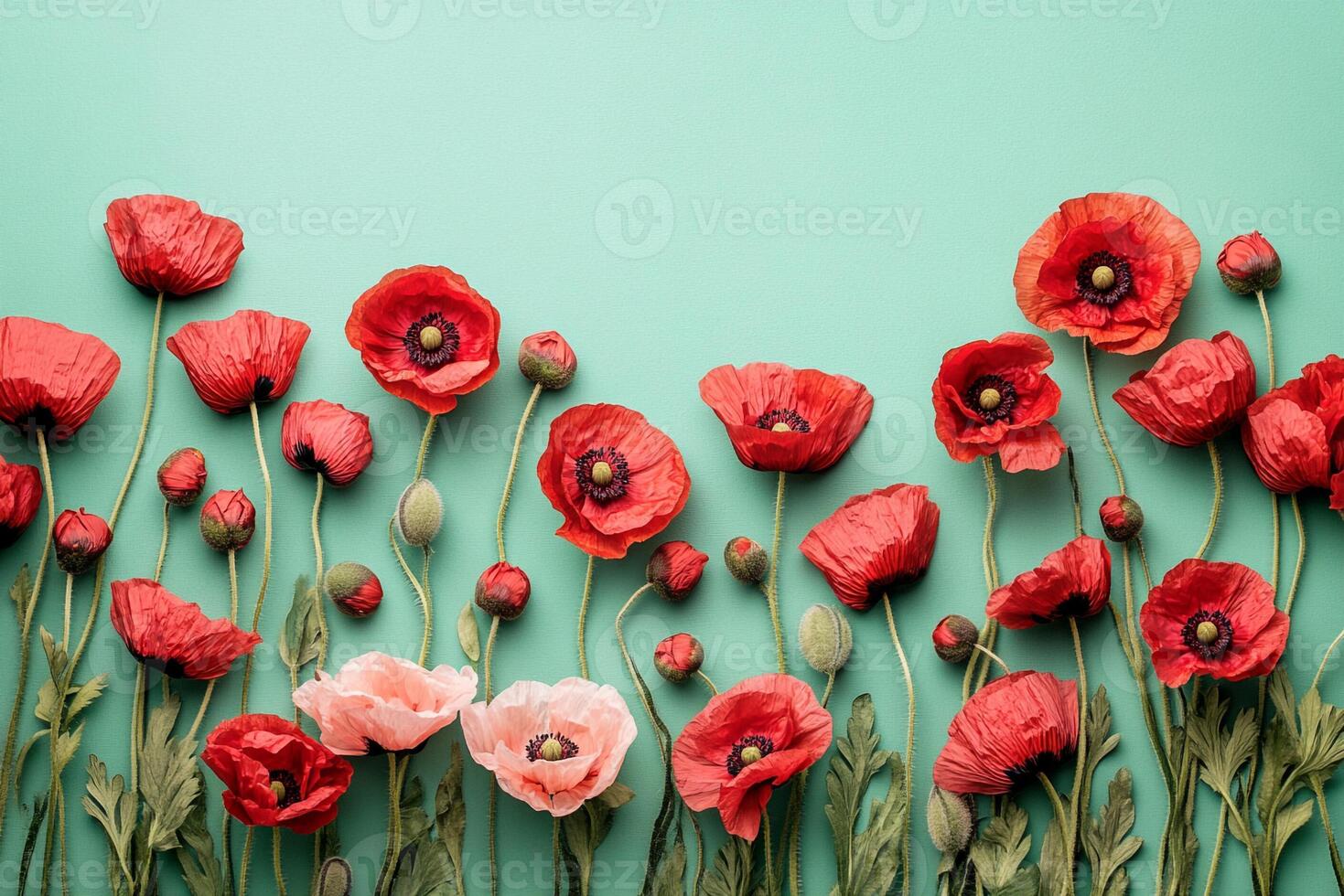 Papaver somniferum on a vibrant background, photorealistic top view Papaver somniferum plant photo