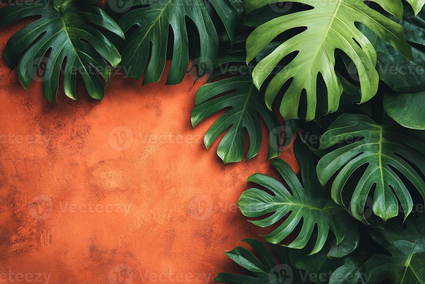Top view Rue on a vibrant background, plant setting photo