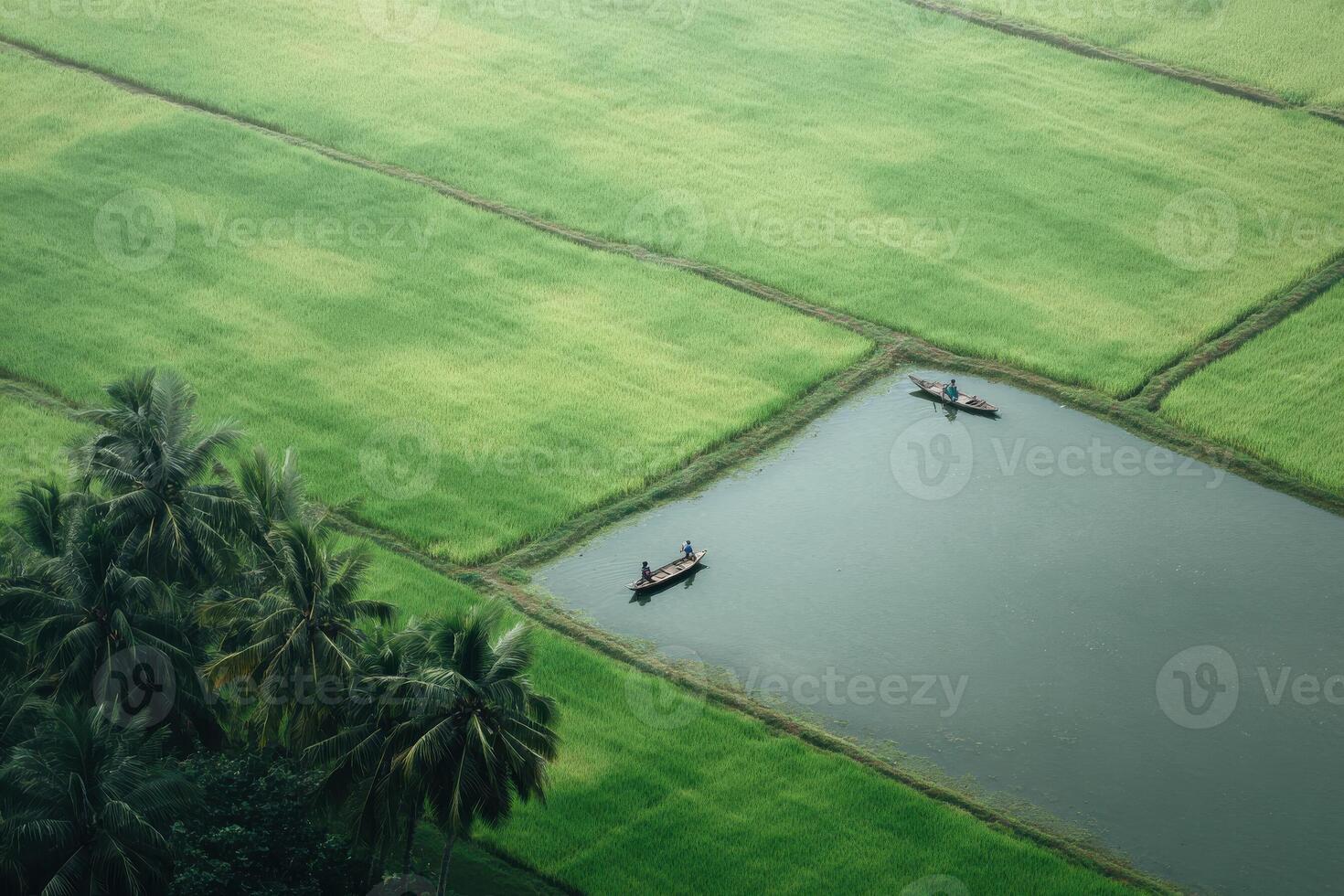 Two people in canoes on a lake in a green field photo