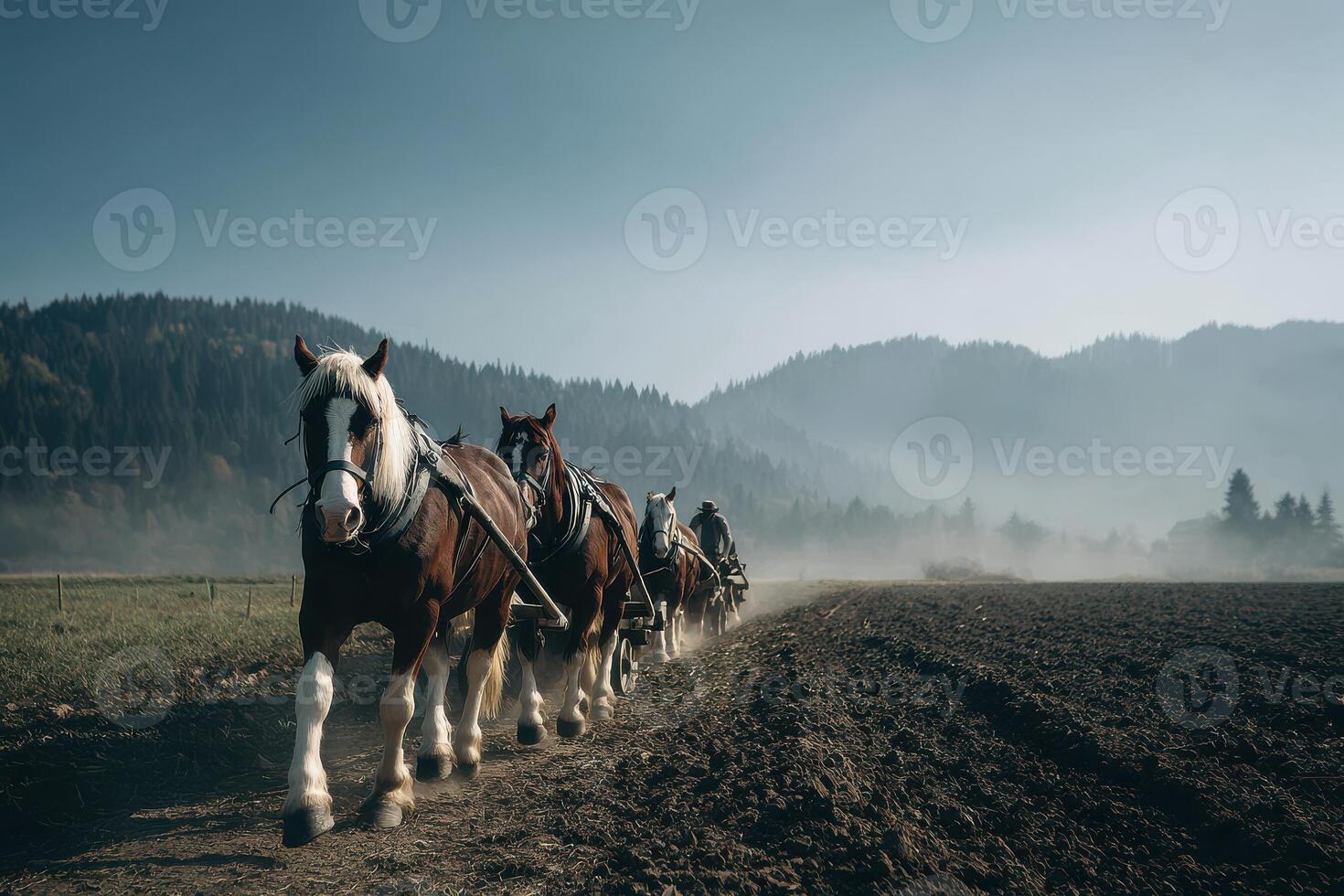 team of strong majestic horses pulling wooden cart through lush green farmland photo