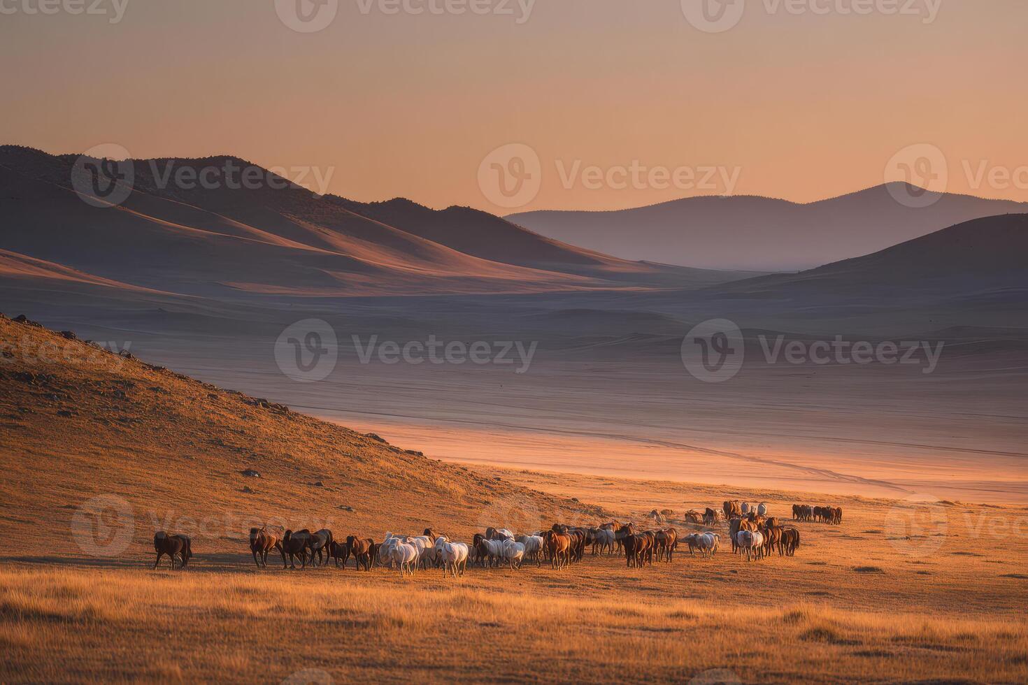 A herd of horses in the desert photo