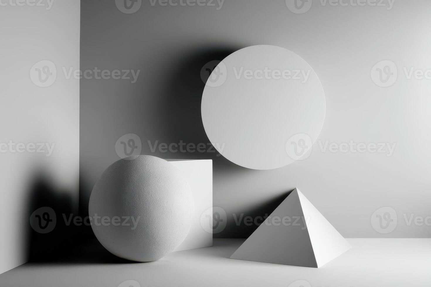 A black and white photo of a white egg and a round object