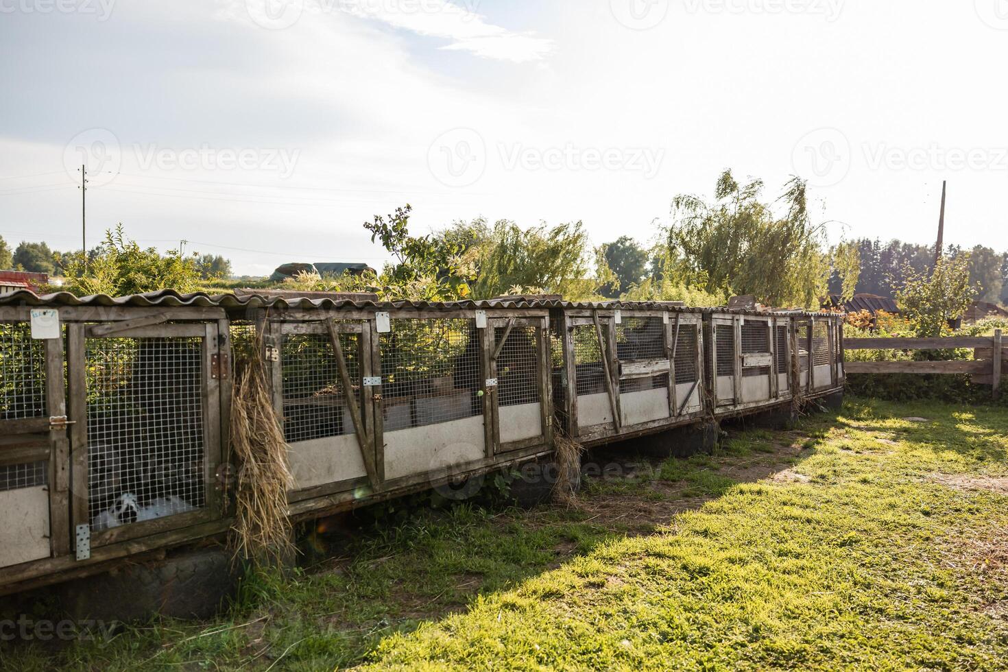 A row of weathered wooden rabbit cages with wire mesh fronts on grassy ground, surrounded by trees, bushes, and open fields under a partly cloudy sky. photo