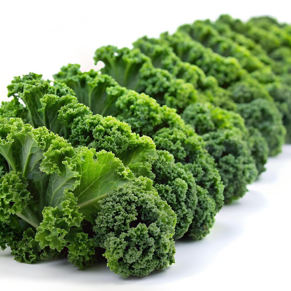Kale Lined Side Angle View Photo on White Background