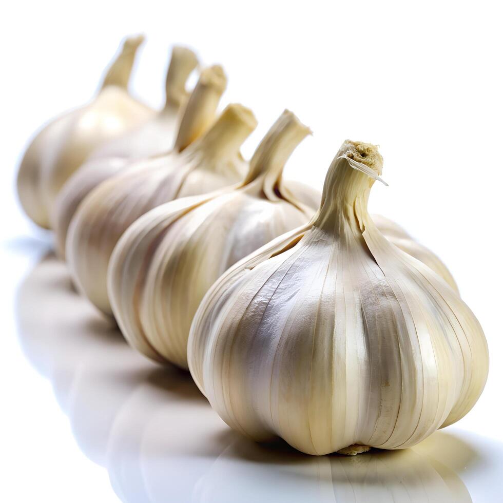 Garlic Lined Side Angle View Photo on White Background