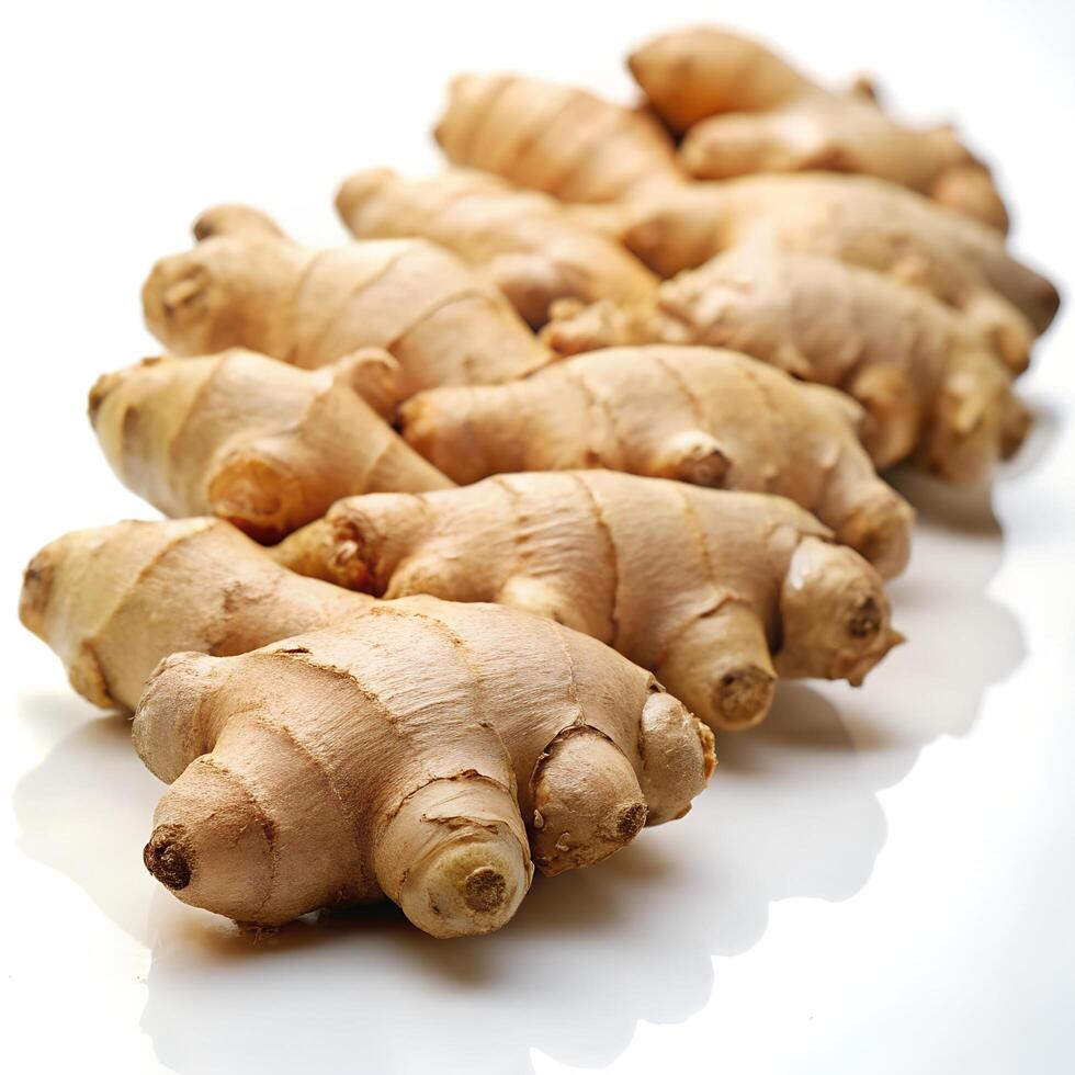 Ginger Lined Angled Front View Photo on White Background