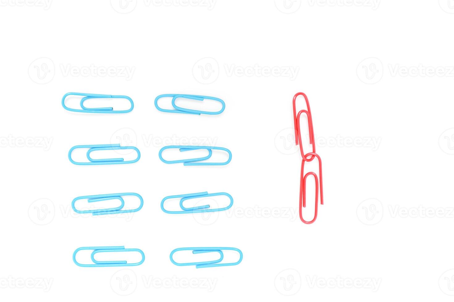 A Group of Blue Paper Clips Isolated with Two Red Paper Clips Linked Together photo