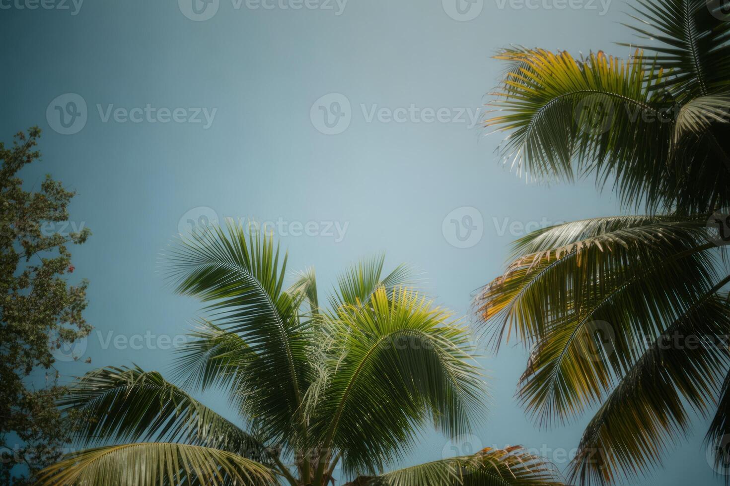 Palm Trees Swaying Gently Against a Clear Blue Sky in a Tropical Paradise Scene photo