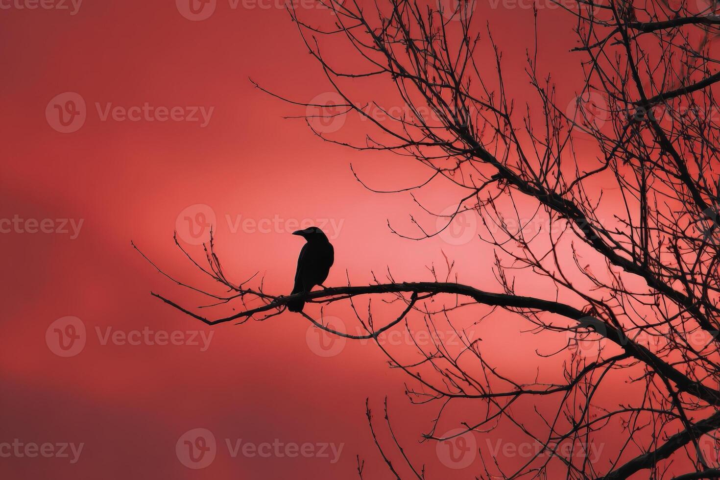 Silhouette of a crow perched on a bare branch against a vibrant crimson sunset sky photo