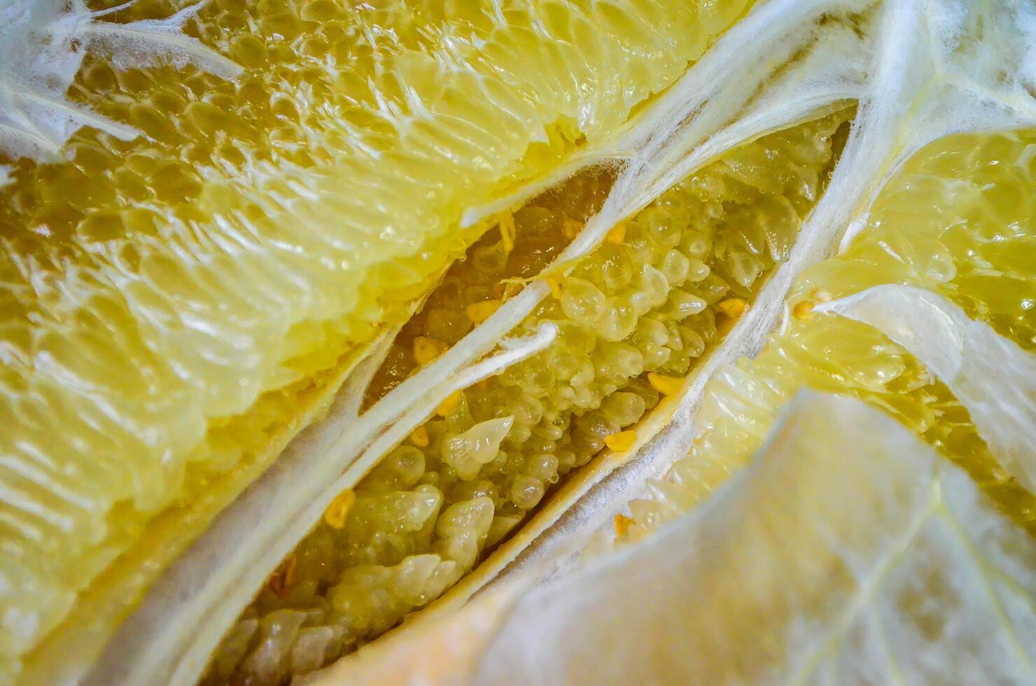 A close up of a peeled orange, revealing its inner structure. The orange is sliced open, and the white pith is visible, along with the seeds. Concept of curiosity and exploration photo