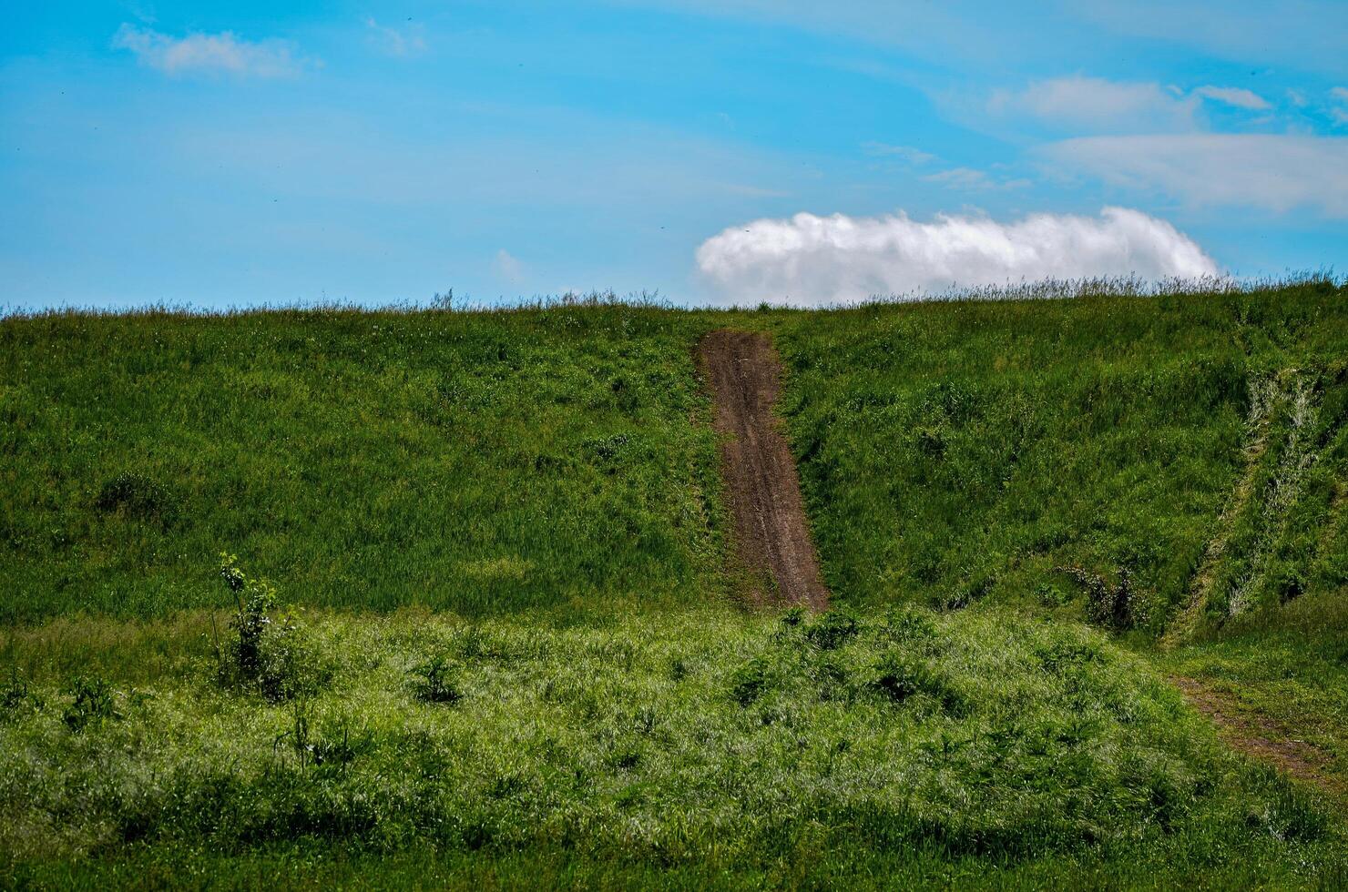 A grassy hillside with a dirt road running down the middle. The sky is clear and blue, with a few clouds scattered throughout. The scene is peaceful and serene photo