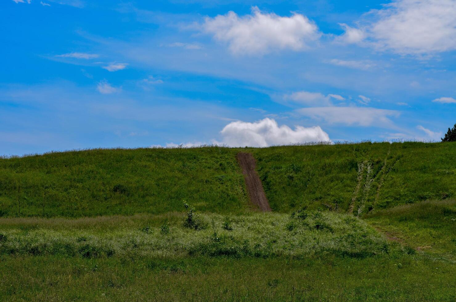 A large, open field with a blue sky and a few clouds. The sky is clear and bright, and the grass is lush and green. The scene is peaceful and serene, with a sense of calm and tranquility photo