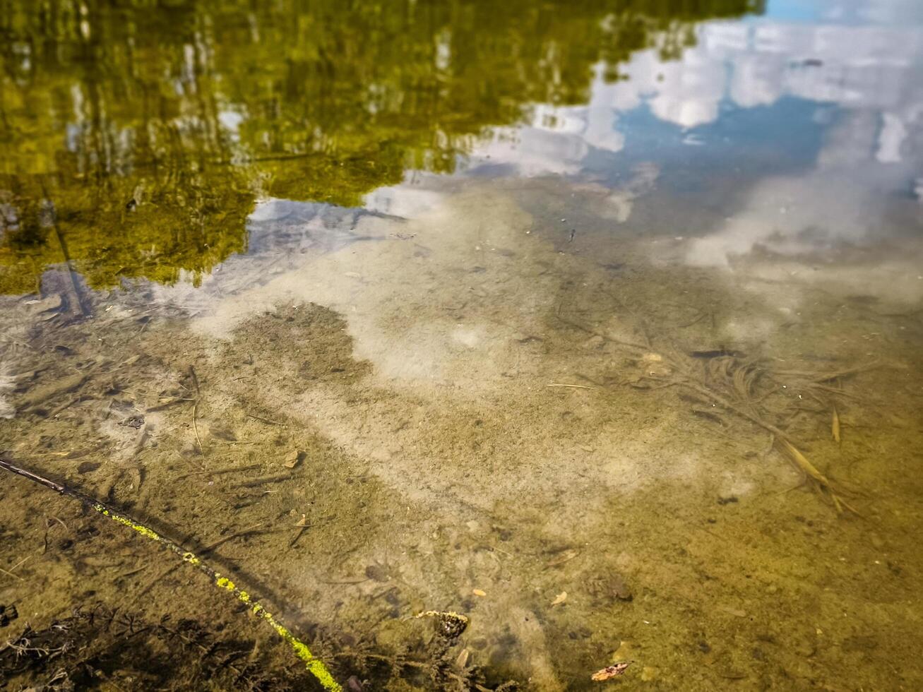 A body of water with a reflection of trees in the water. The water is murky and has a brownish tint photo