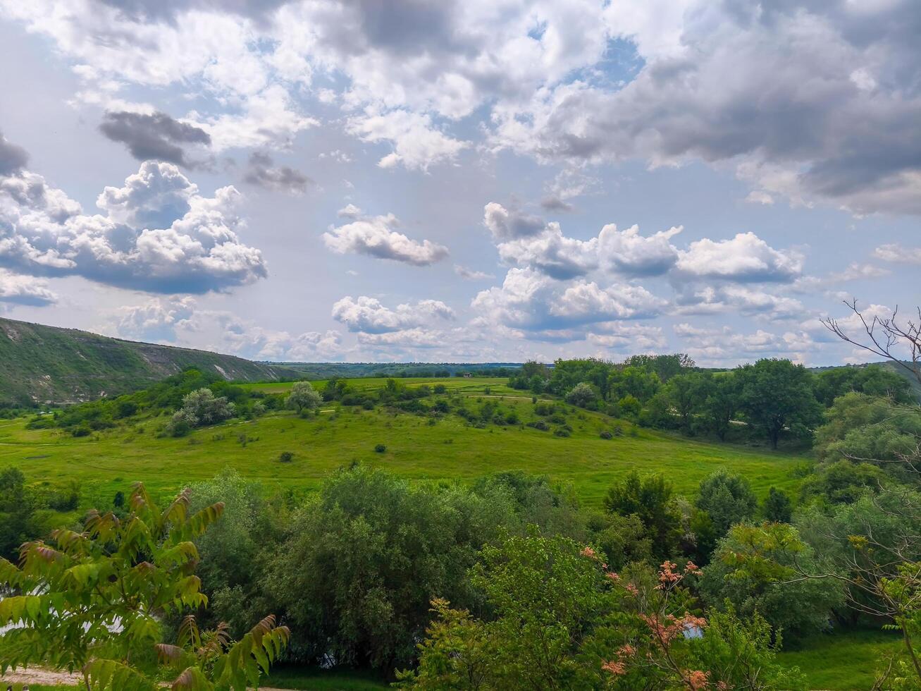 A large field of grass with trees in the background. The sky is cloudy and the mood of the image is peaceful and serene photo