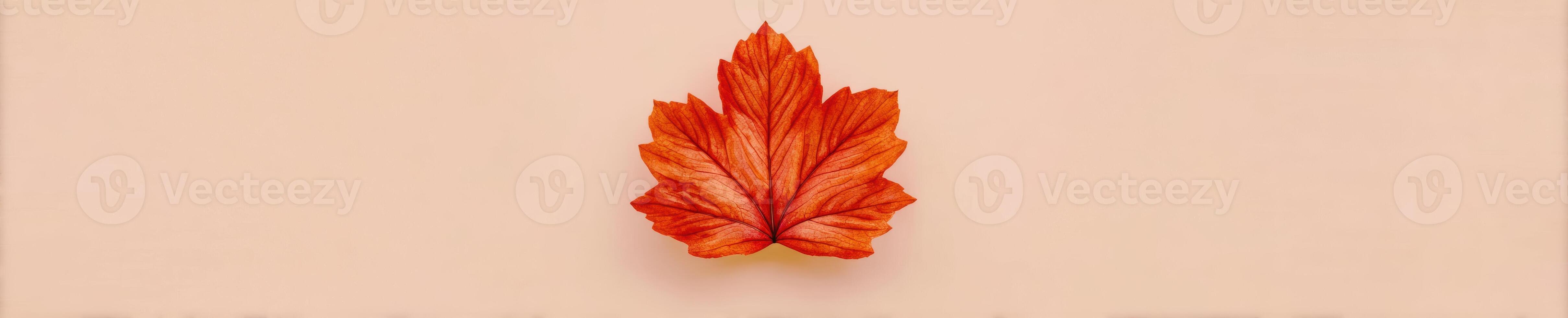 Ultra realistic autumn leaf in high fidelity for seasonal design photo