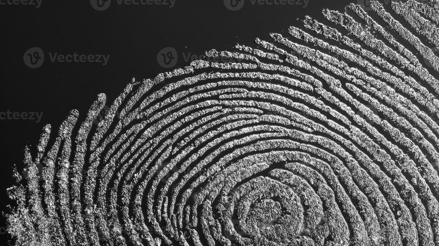 Close-up view of a fingerprint pattern highlights advanced biometric technology. photo