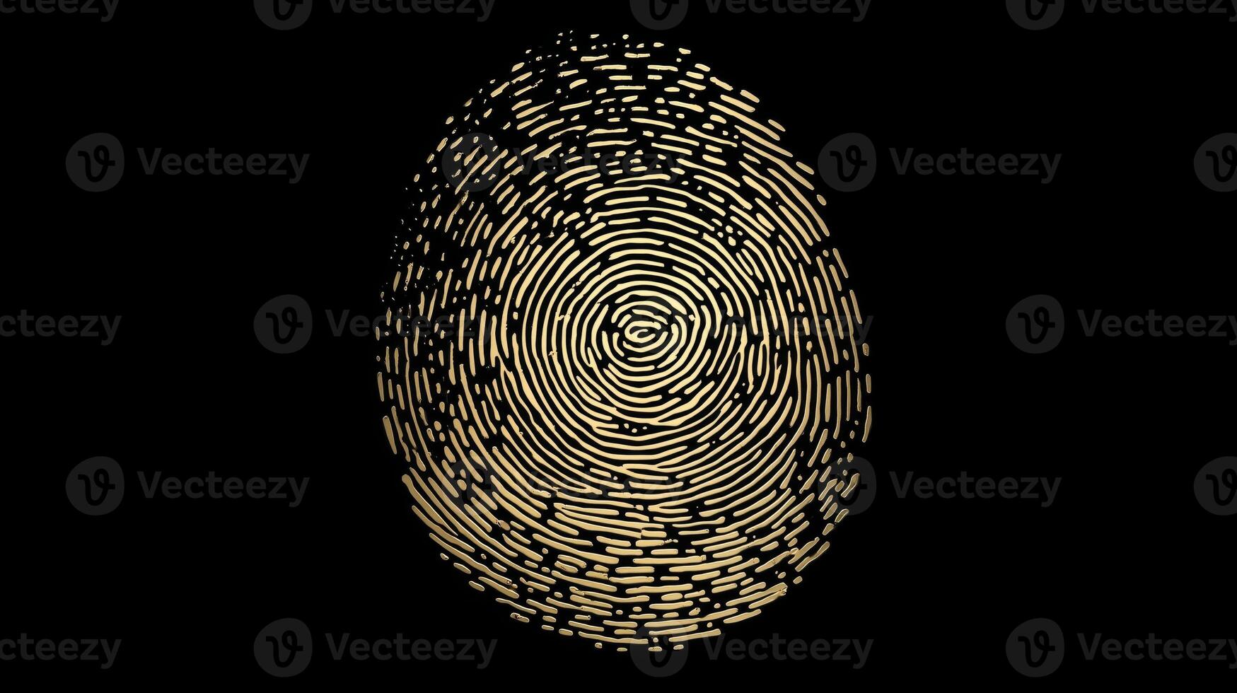 A detailed depiction of a fingerprint resembling an egg shape, highlighted in gold against a contrasting black background. This graphic symbolizes biometric identification technologies. photo