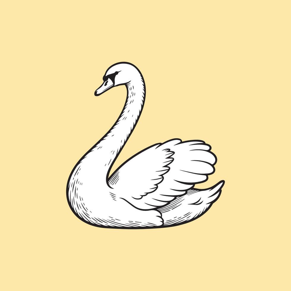 Graceful swan hand draw vector