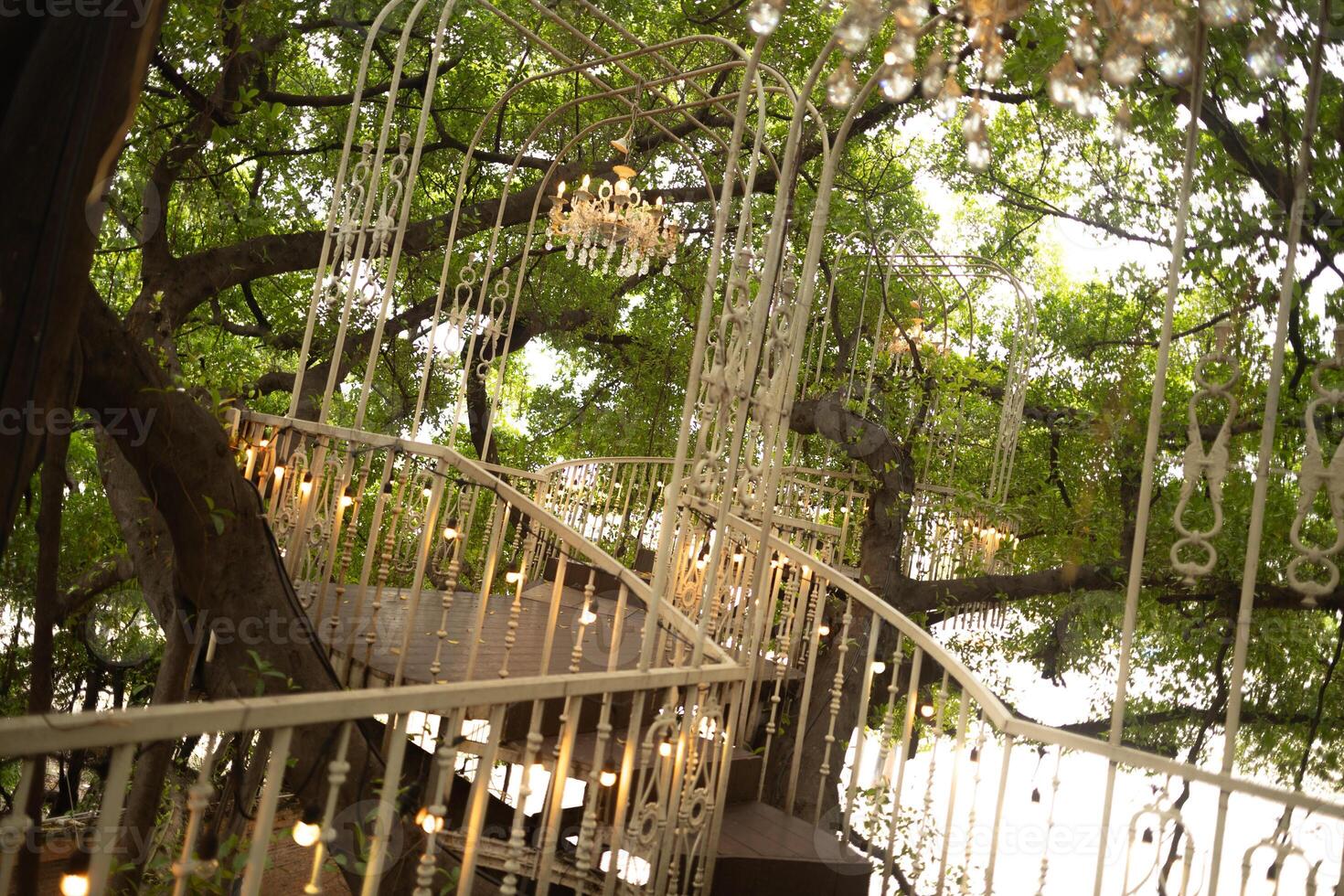 The treehouse and elevated walkway on the massive large tree are adorned with sparkling lights. photo