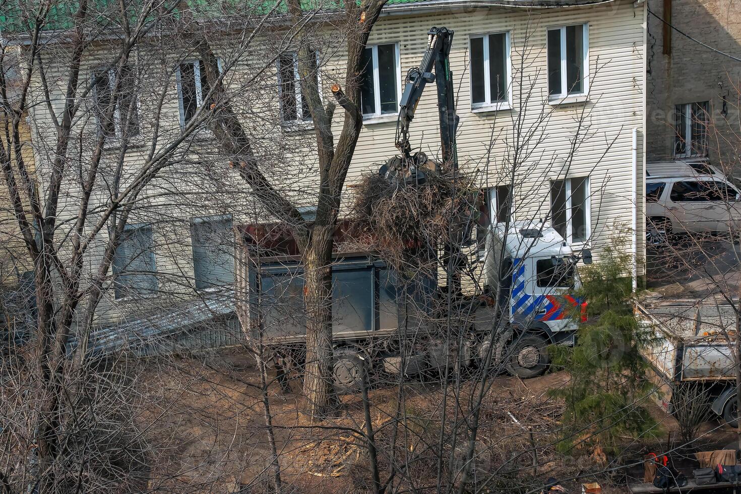 Bulldozer collects tree branches after pruning in the courtyard of an apartment building photo