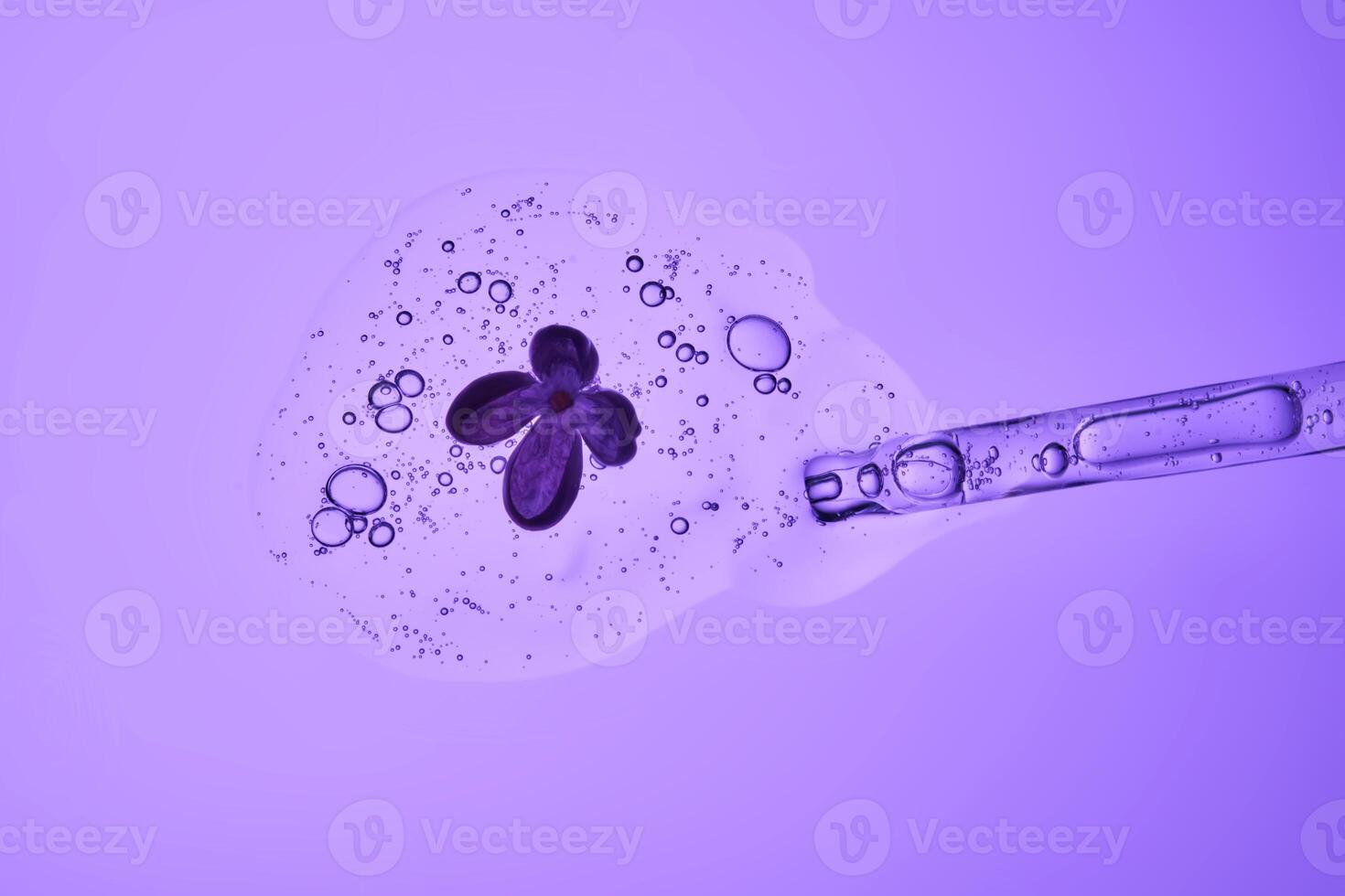 The beautiful texture of the serum with bubbles and a lilac flower pours out of the pipette. photo