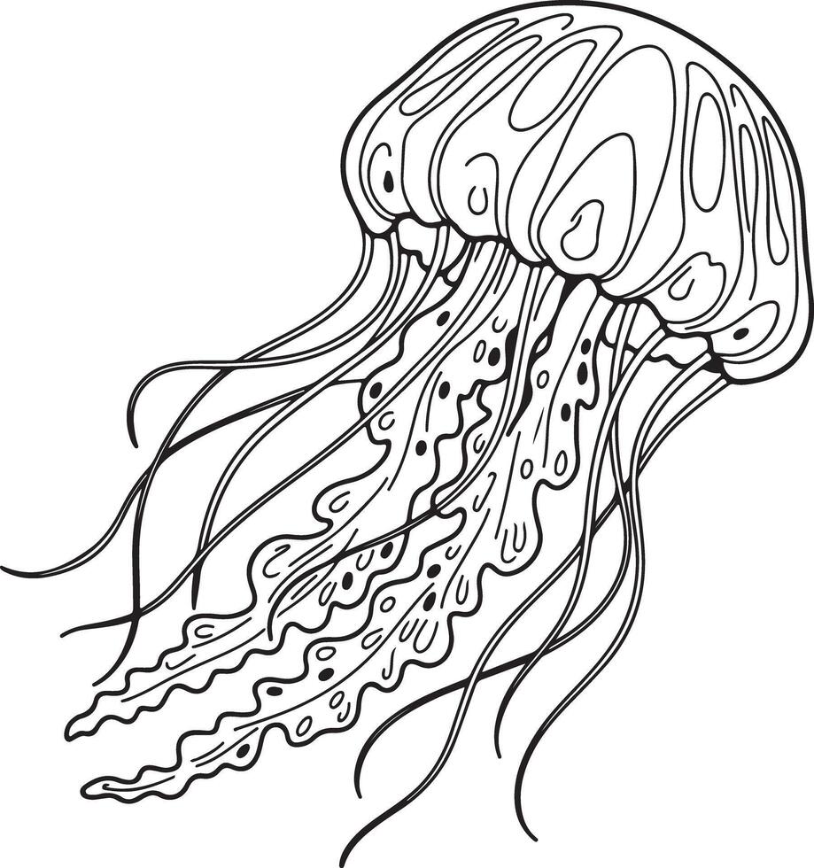 Detailed jellyfish line art drawing with flowing tentacles, originally scalable graphic vector