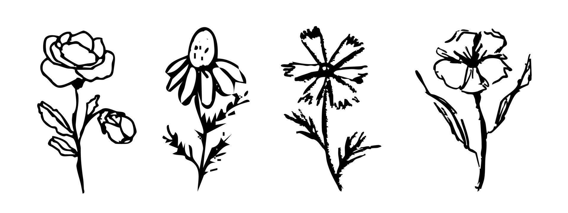 Summer abstract wild flowers, crayon ink drawing, chalk textured floral hand drawn. Charcoal sketch, trendy minimalistic tattoo vector