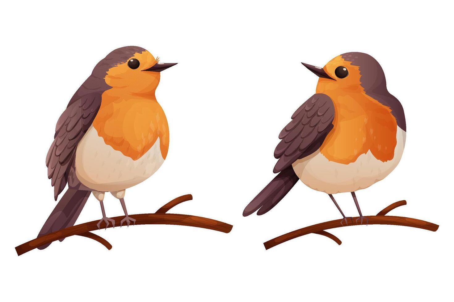 Set Robin bird cute little bird character on branch isolated on white background. vector