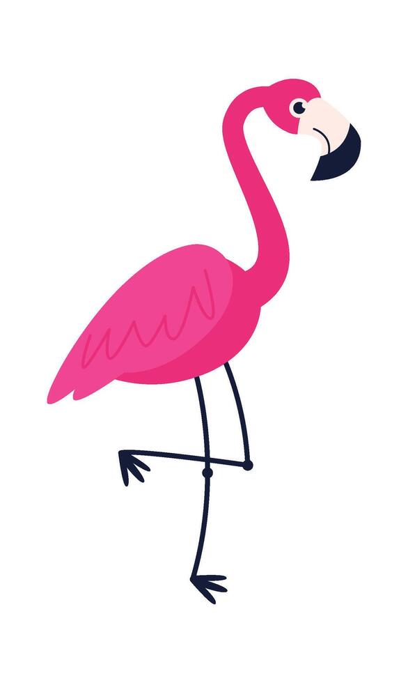 Flamingo character Long legs bird Flat Illustration vector