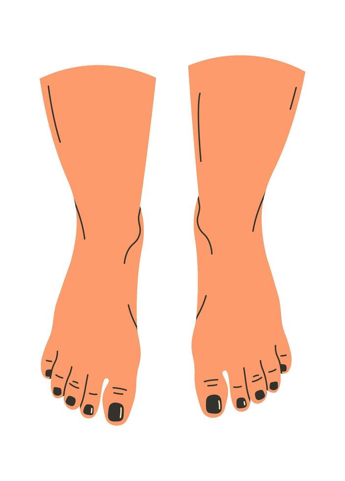 Barefoot Legs Illustration vector