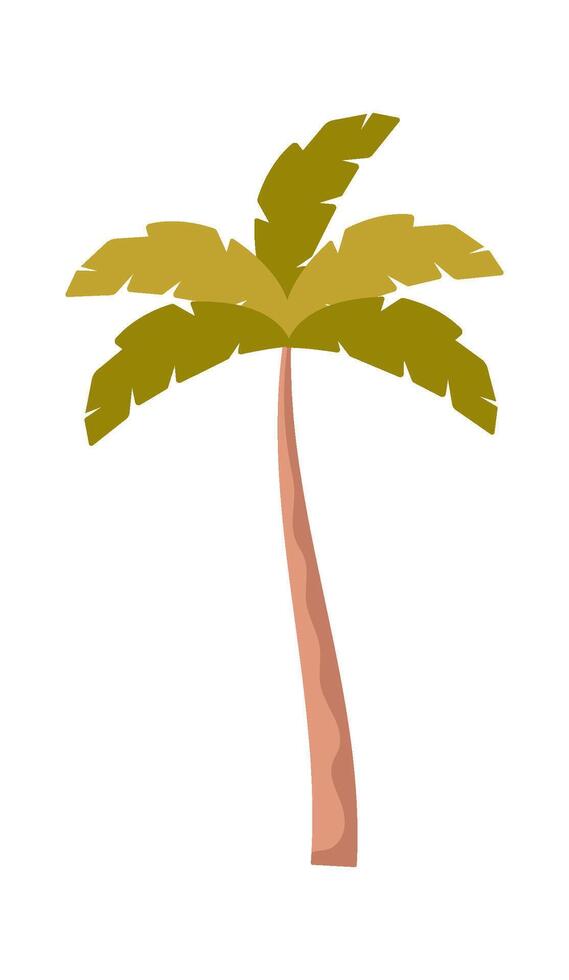 Palm tree on beach vector