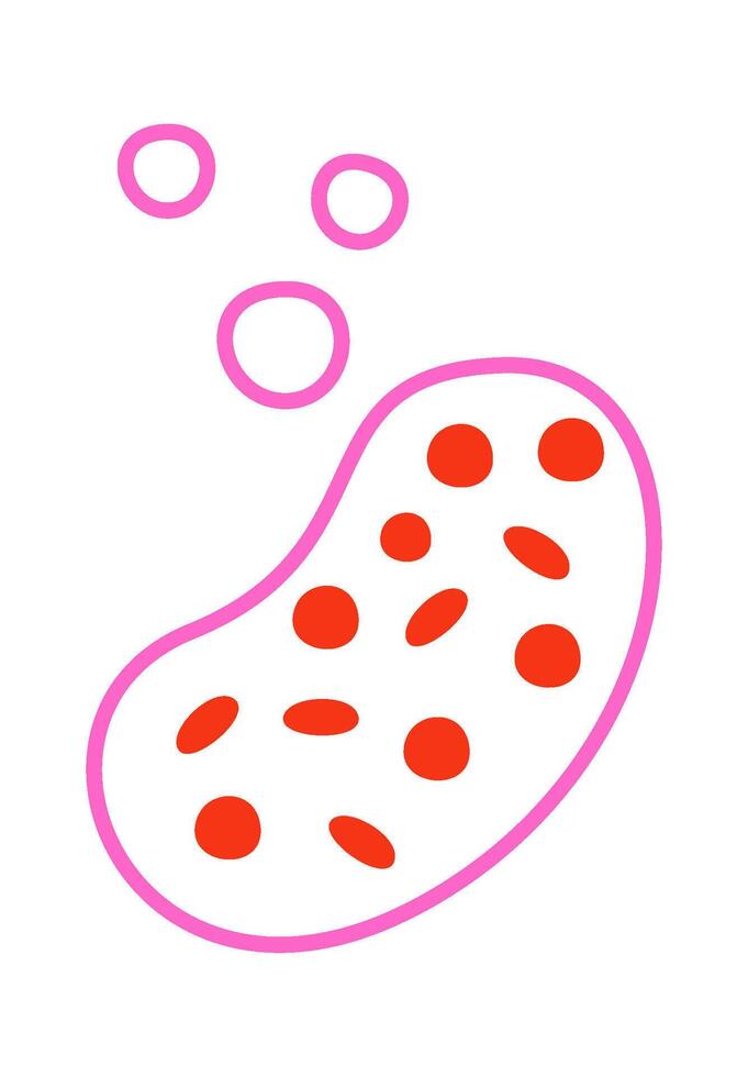 Flat blood cells vector