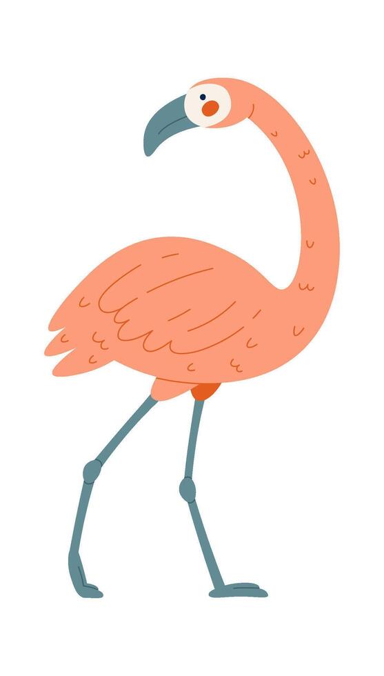 Standing Flamingo Bird vector