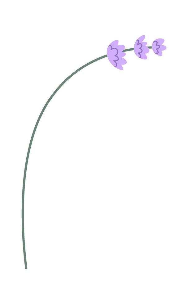 Lavender Flowers Brunch Flat Illustration Hand Drawn Icon vector