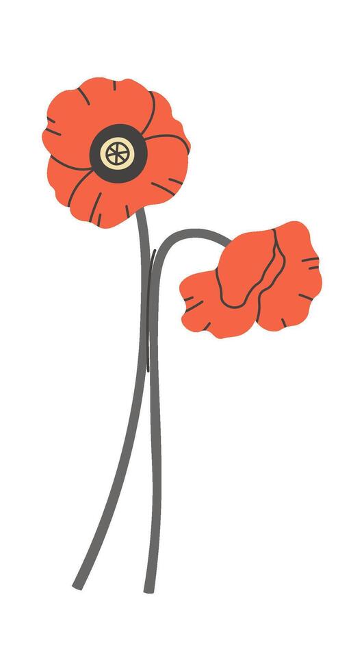 Poppy wildflower illustration Illustration vector