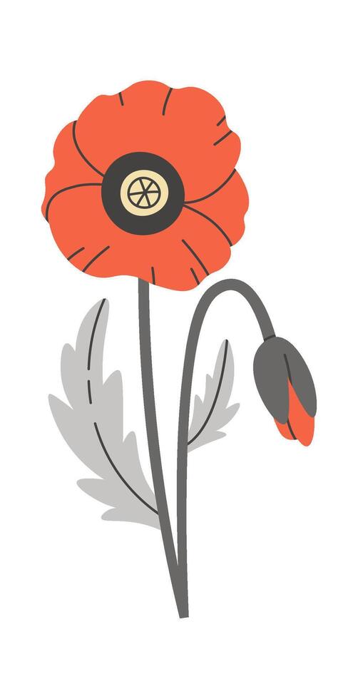 Poppy wildflower illustration Flat Illustration vector