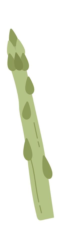 Green Beans Vegetable vector