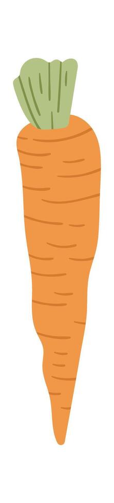 Carrot Vegetable Icon vector