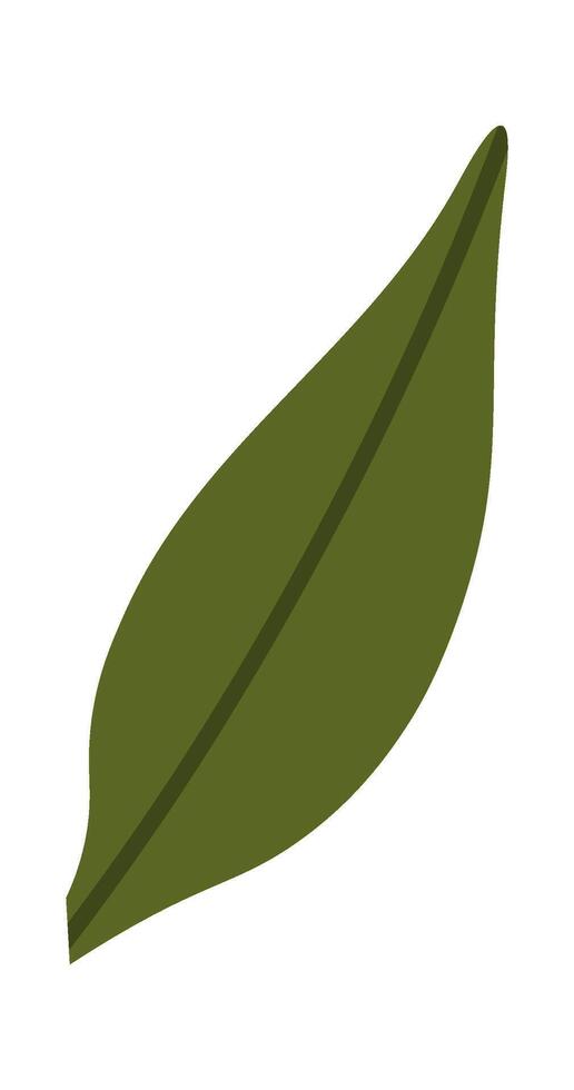 Plant Leaf Icon vector
