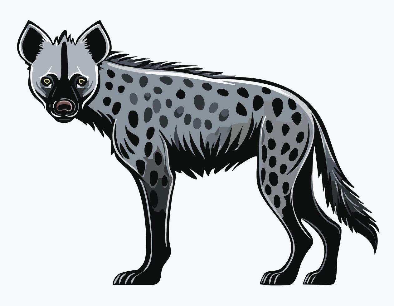 A hyena is standing on a white background vector