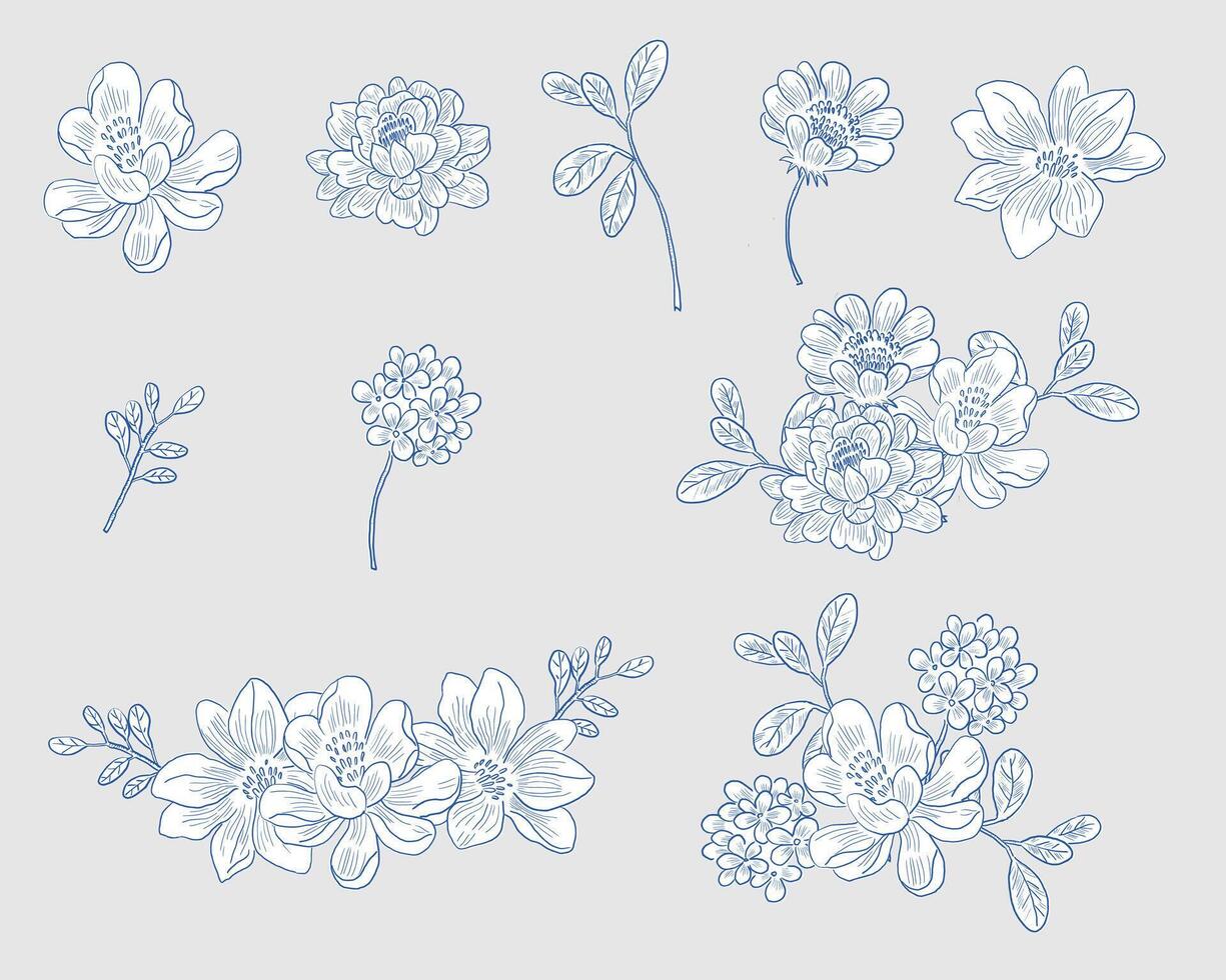 Hand Drawn Rose and Hydrangea vector