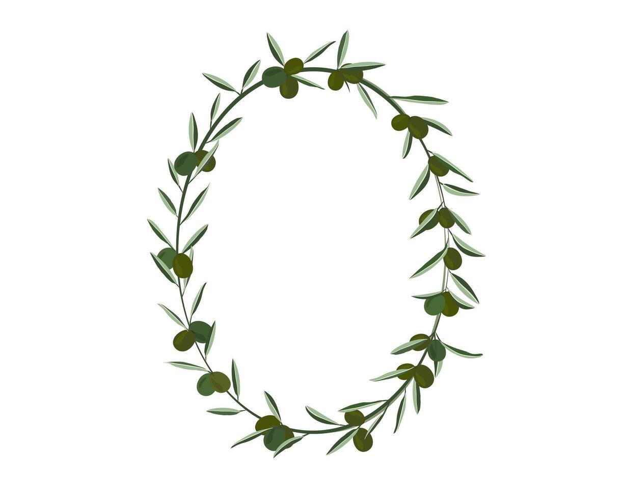 green olive creeping on oval shape frame background vector