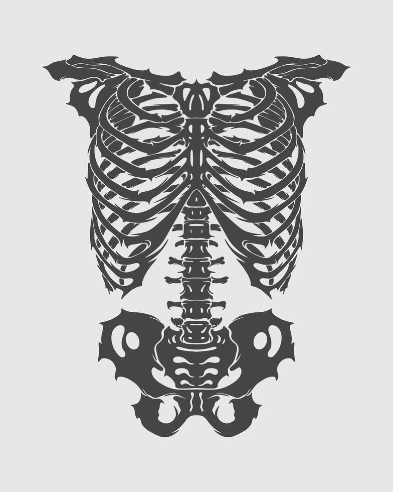 Ribs chest bone anatomy skeleton clip art illustration t shirt, sticker, tattoo, poster design editable vector