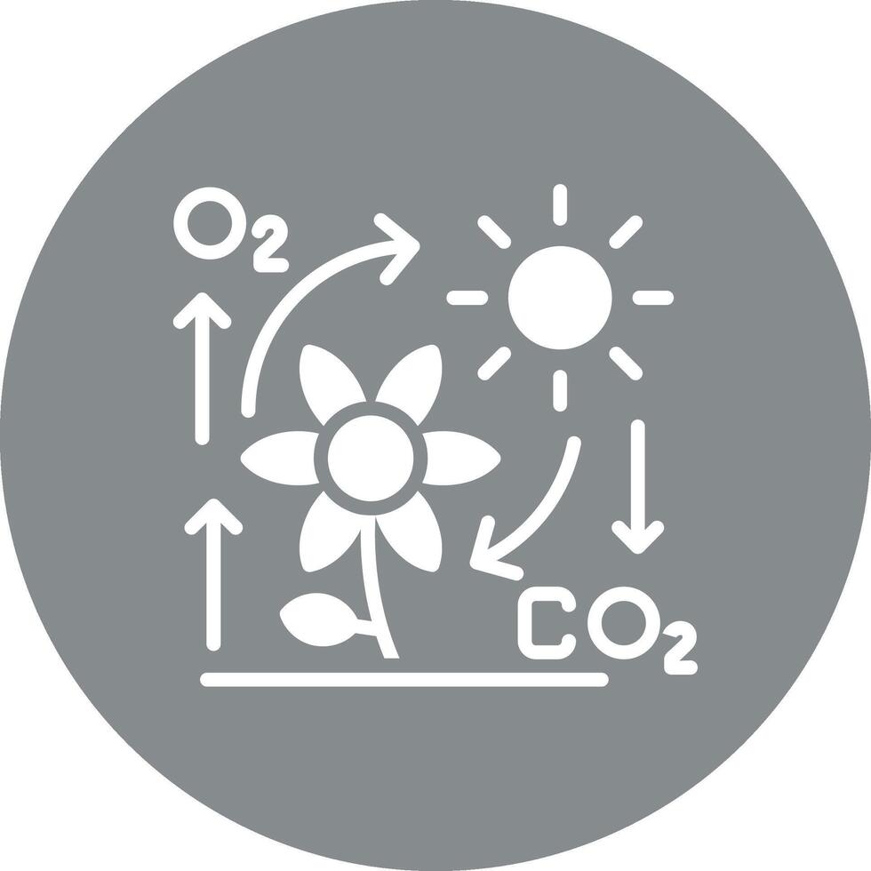 Photosynthesis Modular Form vector